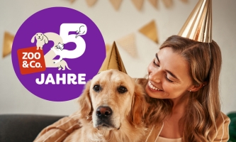 Hund und Frau in festlicher Szene