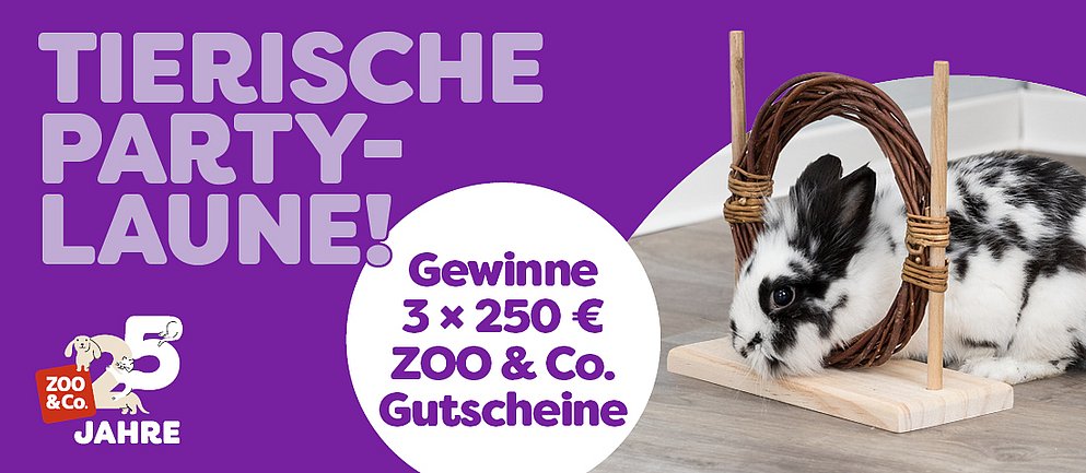 Entdecke die Aktion Party Animal!