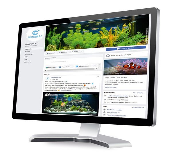 Aquarium A-Z Website