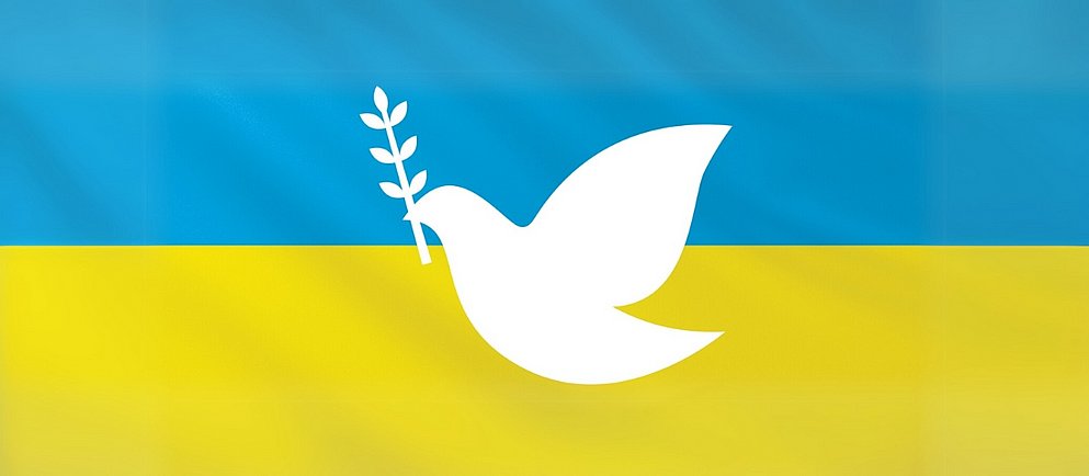 Futterspendenlieferung für die Ukraine von ZOO & Co. und Interquell