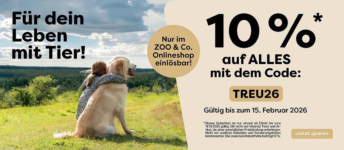 Entdecke unsere VIP-Aktion vom 04. - 15.02.2026!