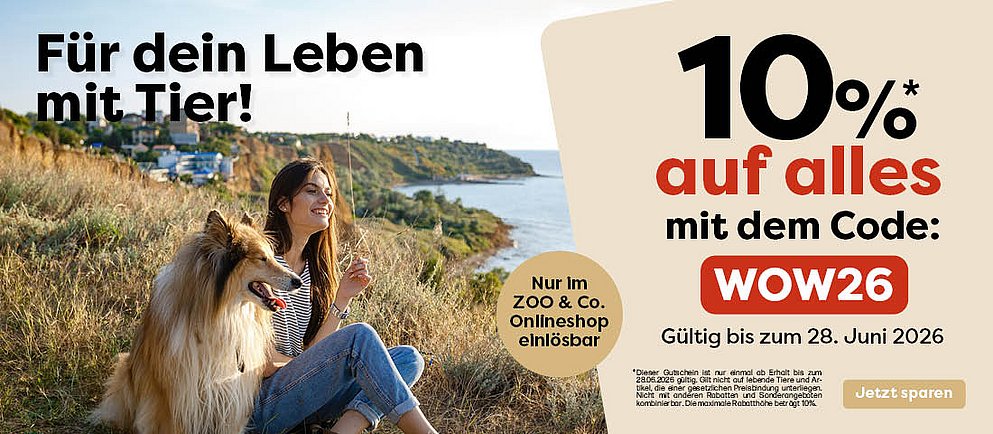 Entdecke die VIP Aktion!