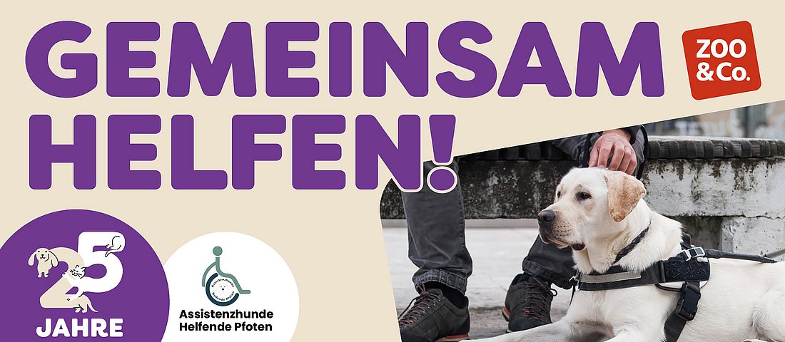 25. Jahre ZOO & Co. Helfende Pfoten gGmbH