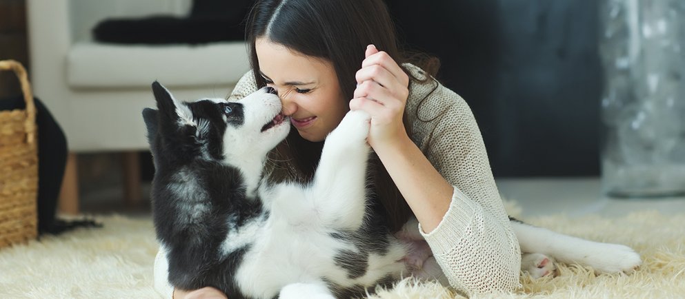 Frau liegt auf einem Teppich und spielt liebevoll mit einem jungen Husky – stimmungsvolles Bild für die Produktwelt rund ums Haustier.