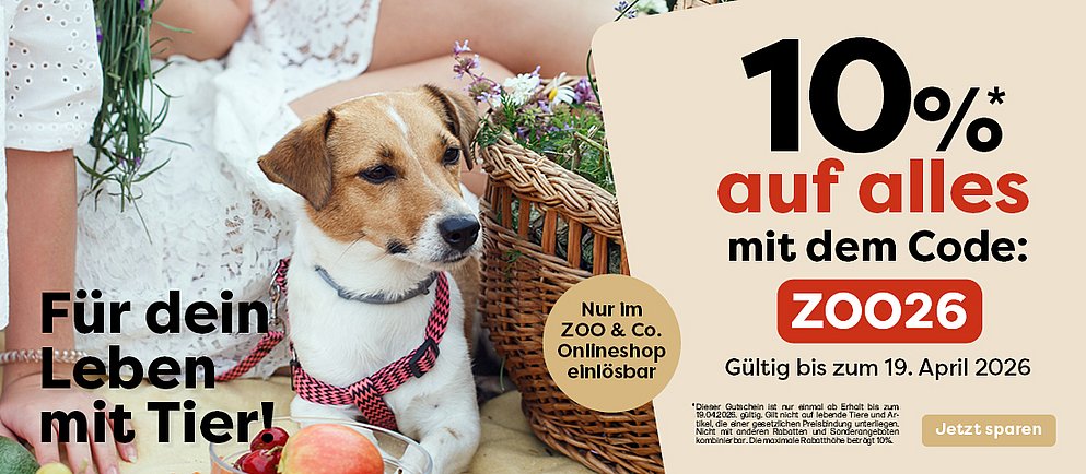 Entdecke unsere VIP-Aktion!