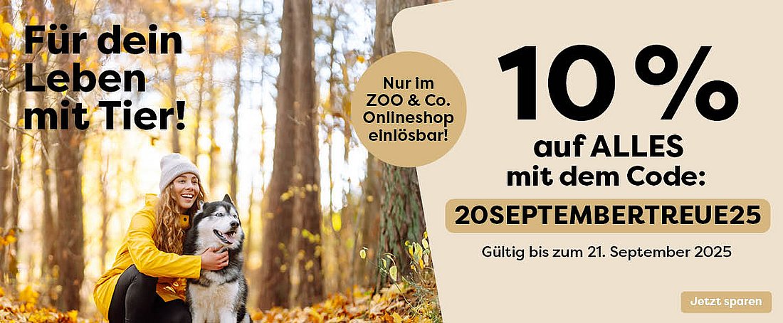 Slider für VIP-Aktion