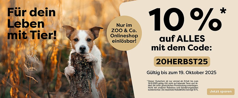 Entdecke unsere VIP Aktion