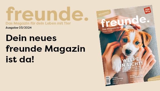 freunde Magazin