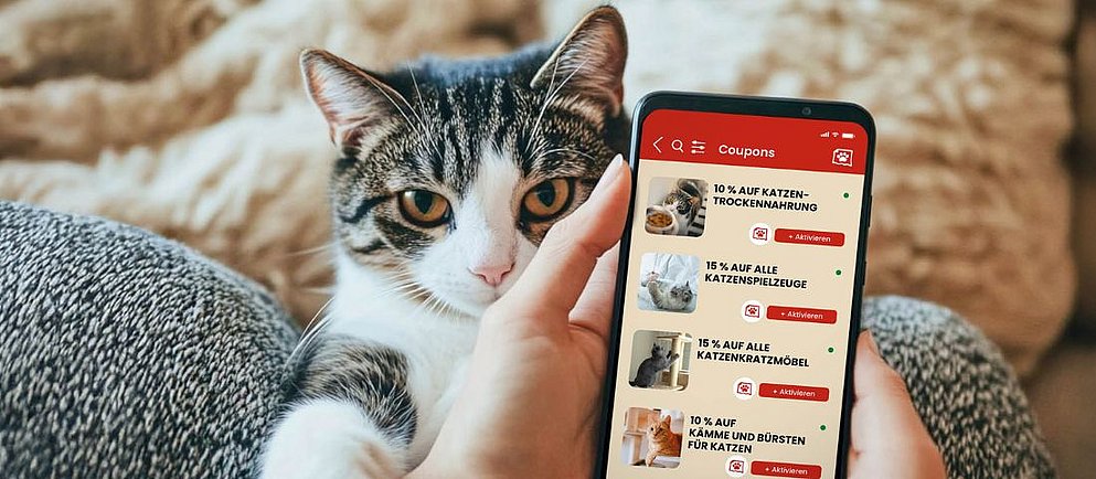 Digitale Angebotskommunikation bei ZOO & Co.