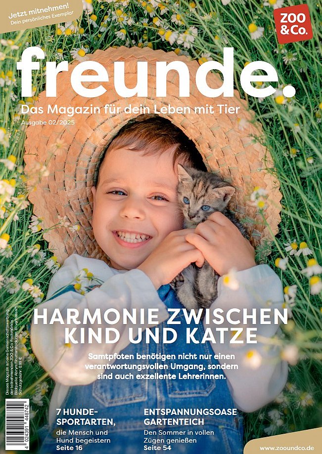 Titelbild der aktuellen freunde Magazin Ausgabe