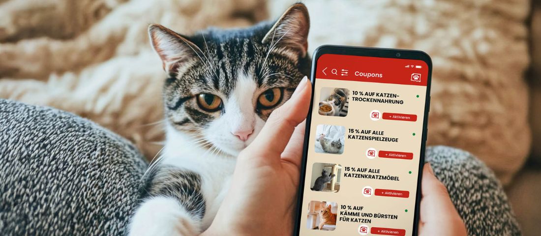 Digitale Angebotskommunikation bei ZOO & Co.