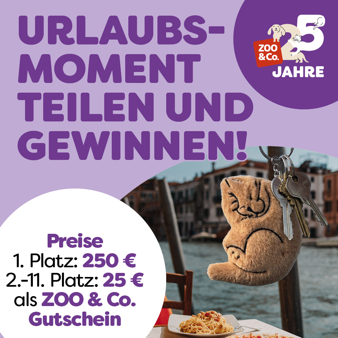Entdecke die Aktion!