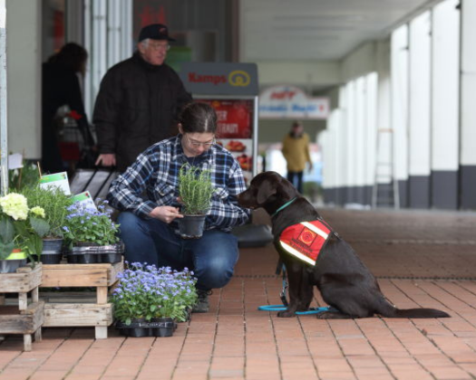 Ein Assistenzhund sitzt auf dem Boden