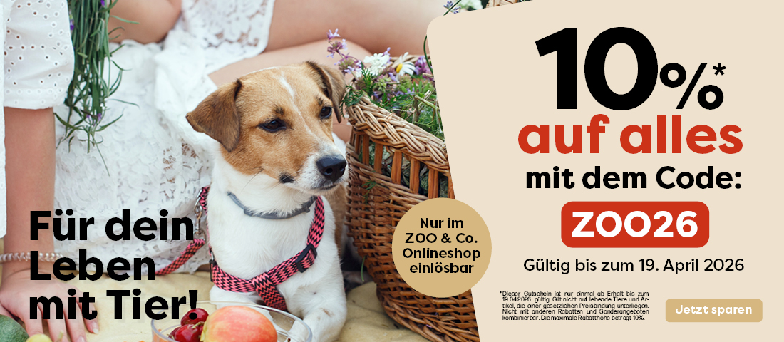 Entdecke unsere VIP-Aktion!