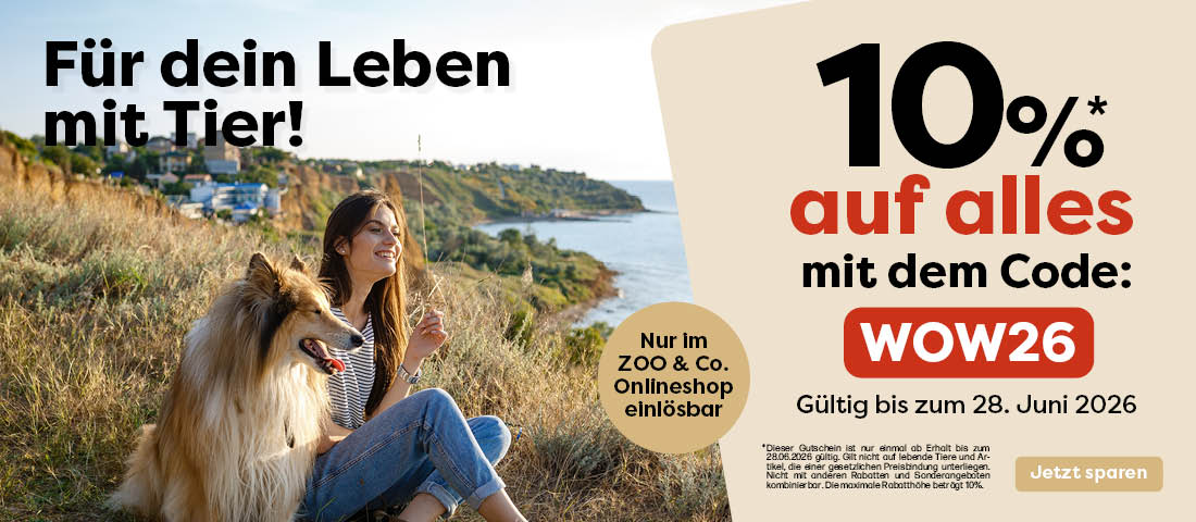 Entdecke die VIP-Aktion!
