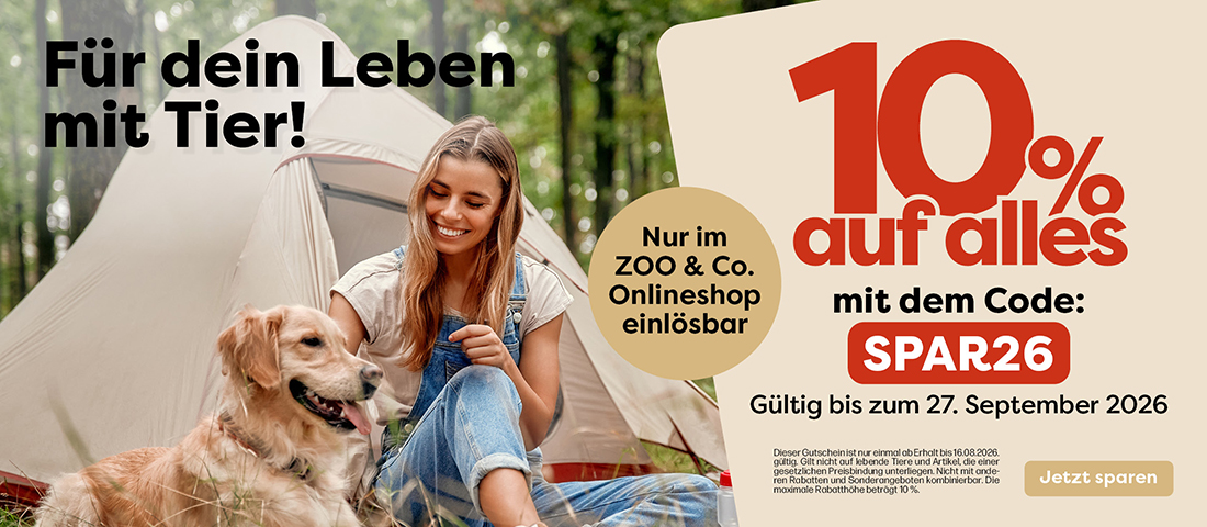 Entdecke die VIP Aktion!