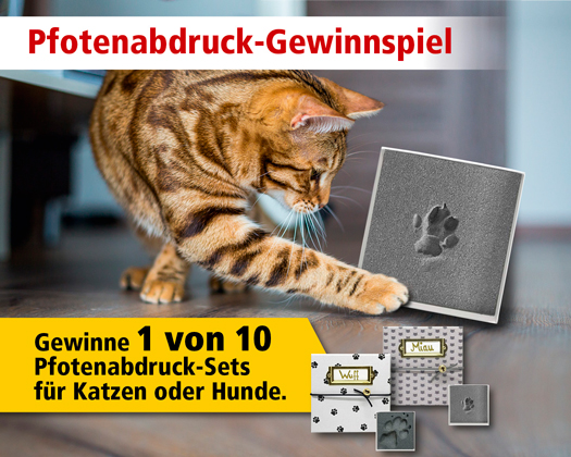 ZOO & Co. Pfotenabdruck Gewinnspiel