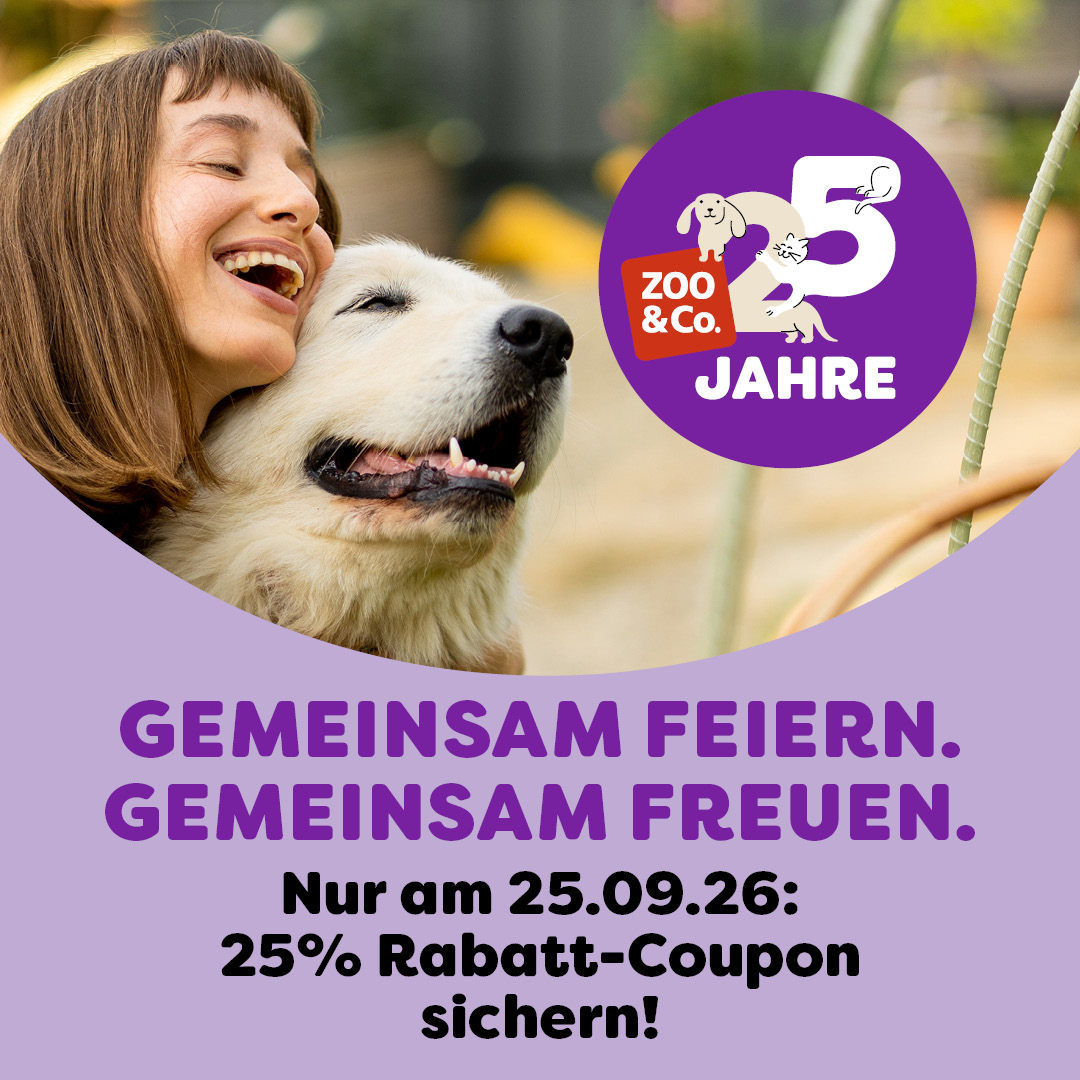 Entdecke die Nachkaufaktion!