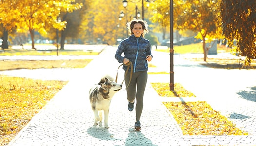 Ein Hund und sein Halter beim Spaziergang