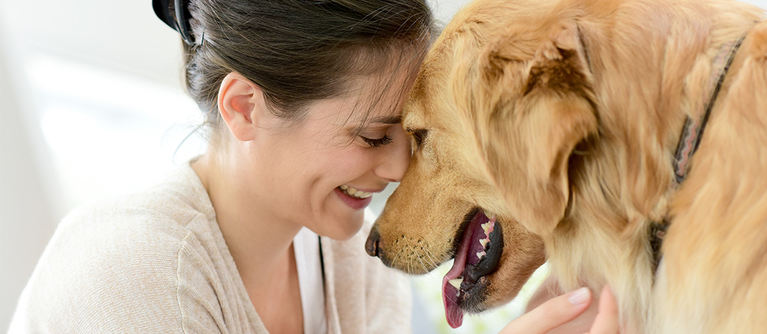 Frau ist Stirn an Stirn mit einem Golden Retriever – stimmungsvolles Bild für die Servicewelt rund um Mensch und Tier.